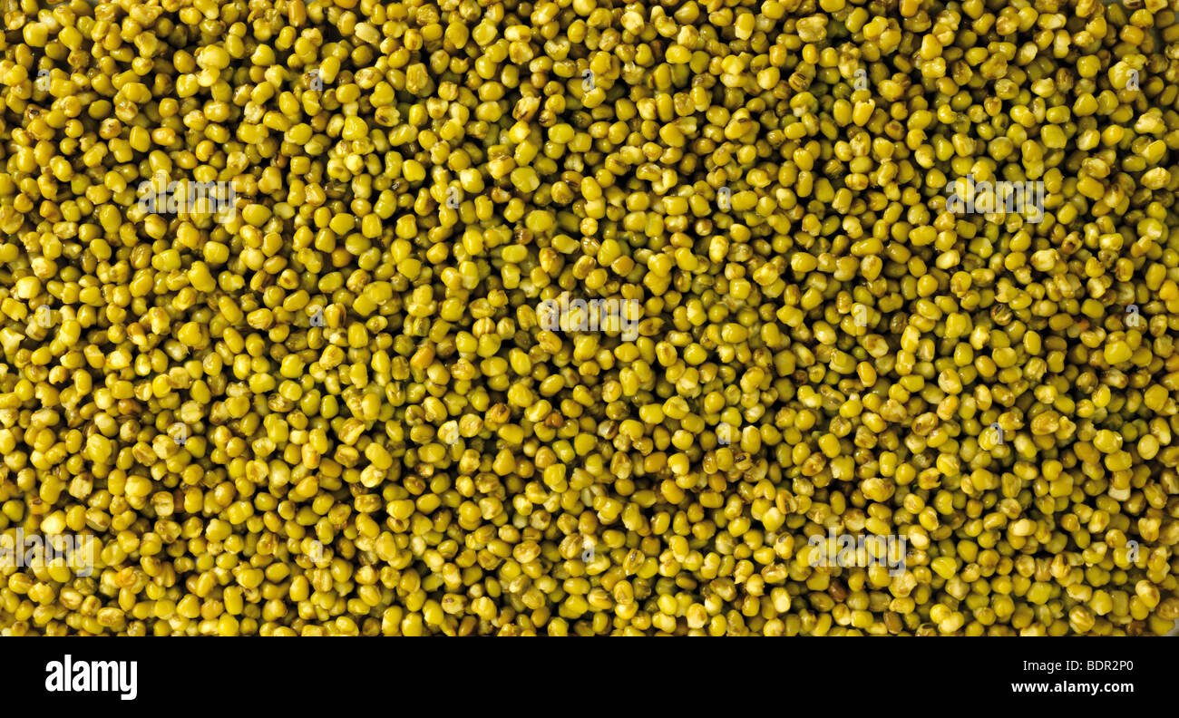 Whole mung beans, or green gram, maash, moong - close up full frame top shot  (Vigna radiata) Stock Photo