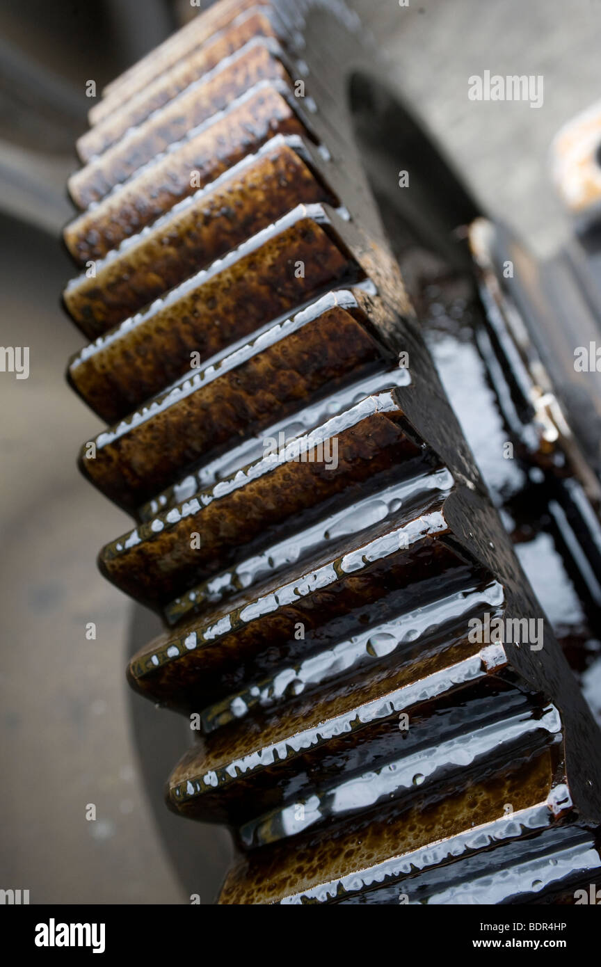 Close up of an oil covered industrial cog Stock Photo