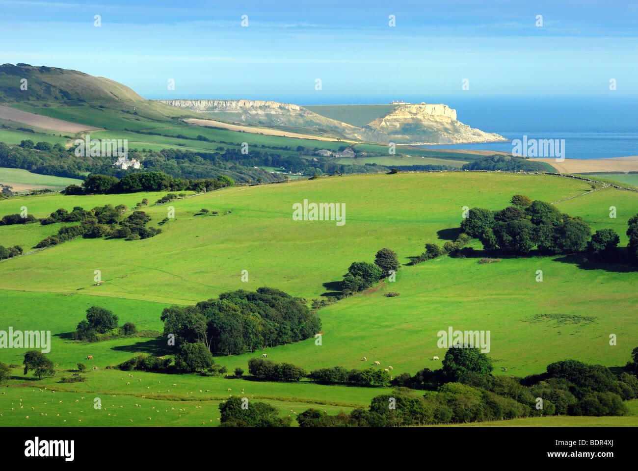 Purbeck Hills and coast Dorset Stock Photo