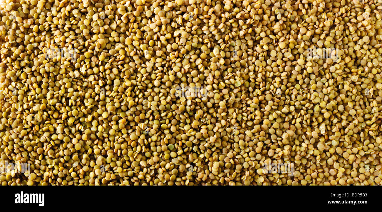 Whole dried green lentil beans - close up full frame top shot  (Vigna radiata) Stock Photo