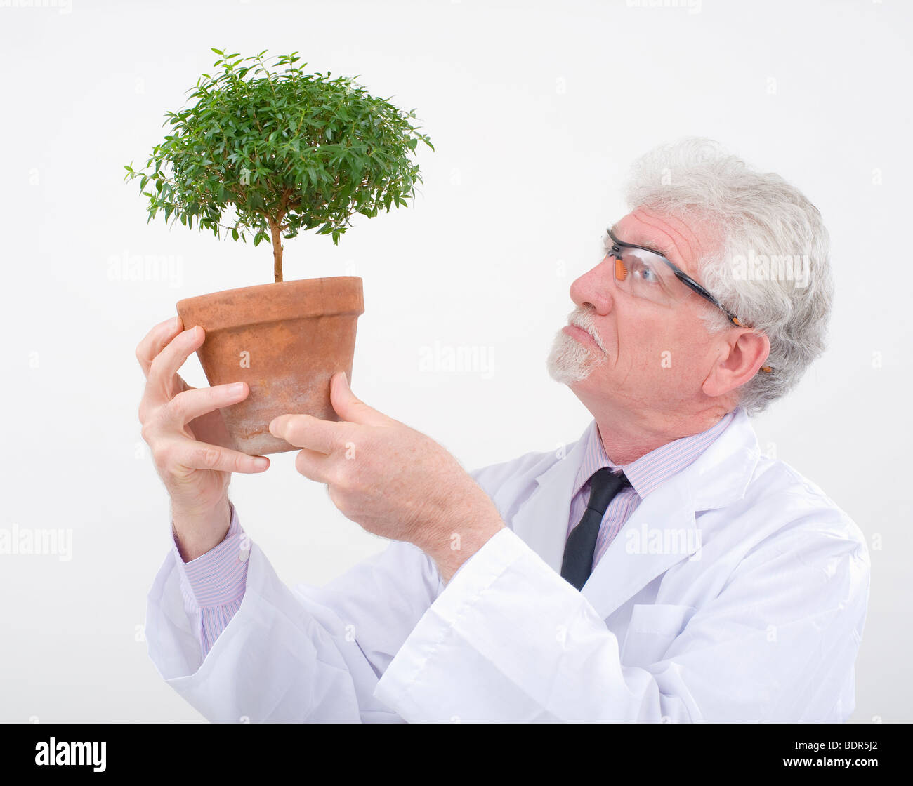 ученый биолог профессия. ученые изучают растения. ученые ботаники. кристиан кресс селекционер. ботаник изучает растения.