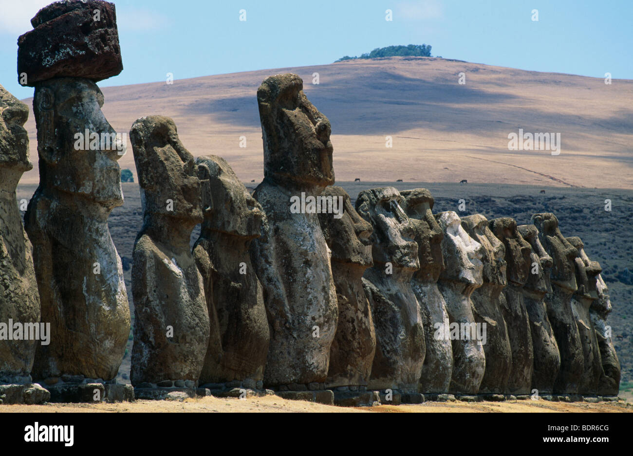 Stone sculptures Easter Island Stock Photo Alamy