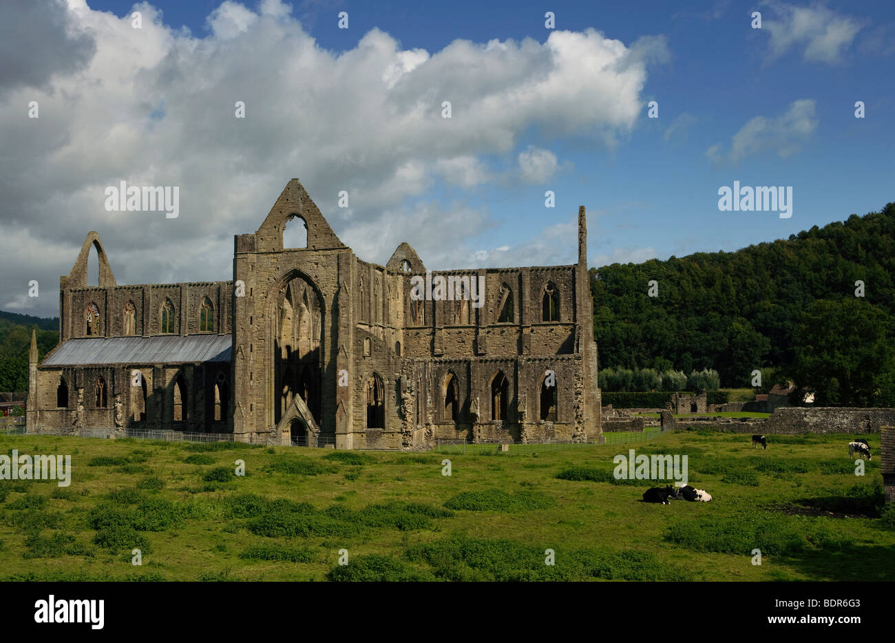 Tintern Abbey Wales Welsh Church Monk National Stock Photo
