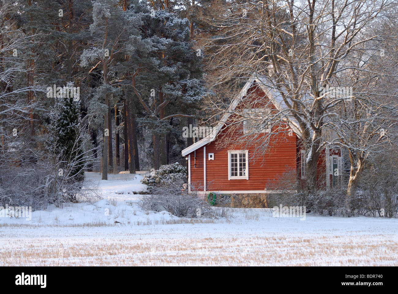 A red house in the forest Sweden Stock Photo - Alamy
