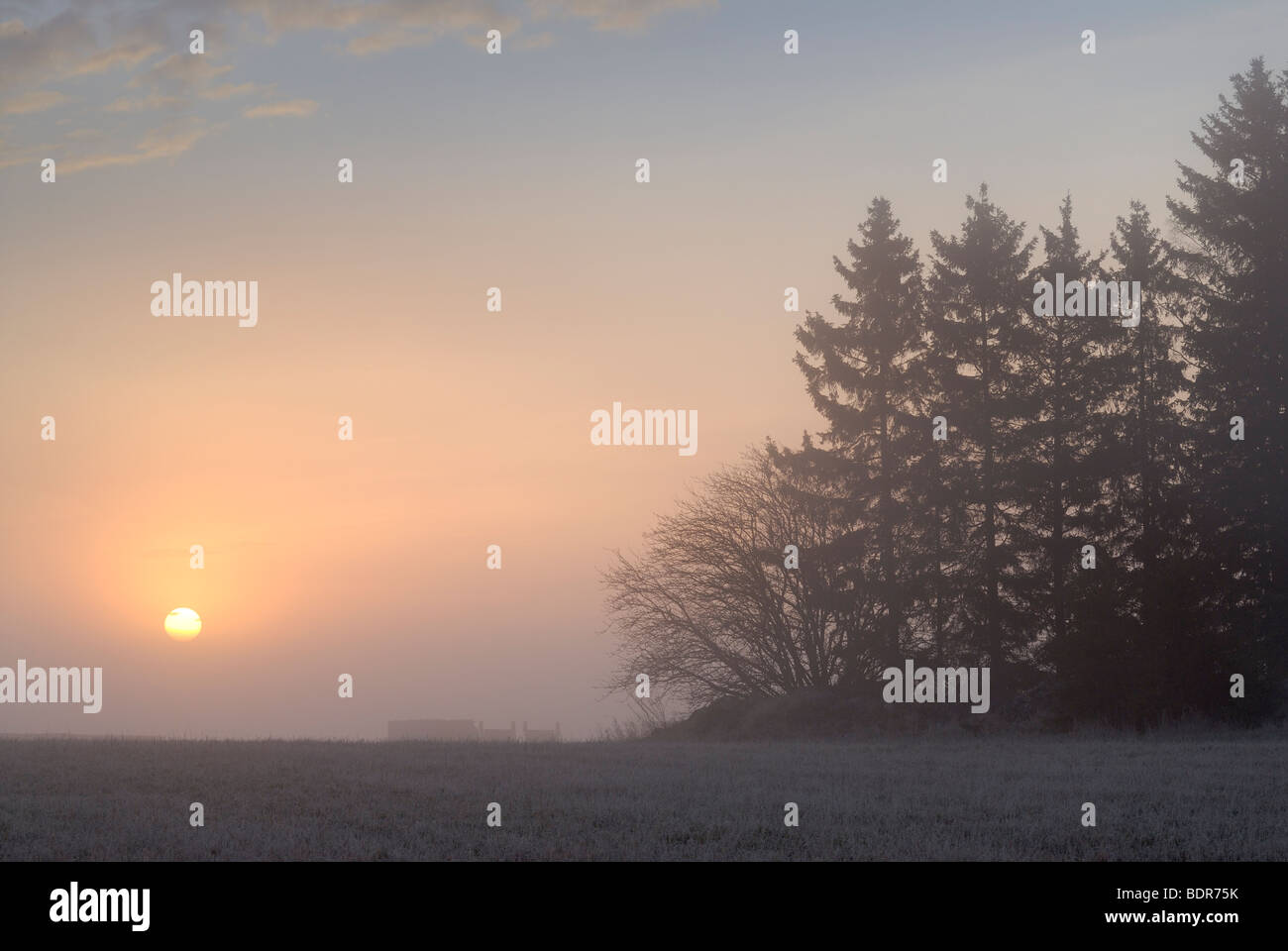 The sunrise in the winter Stock Photo - Alamy