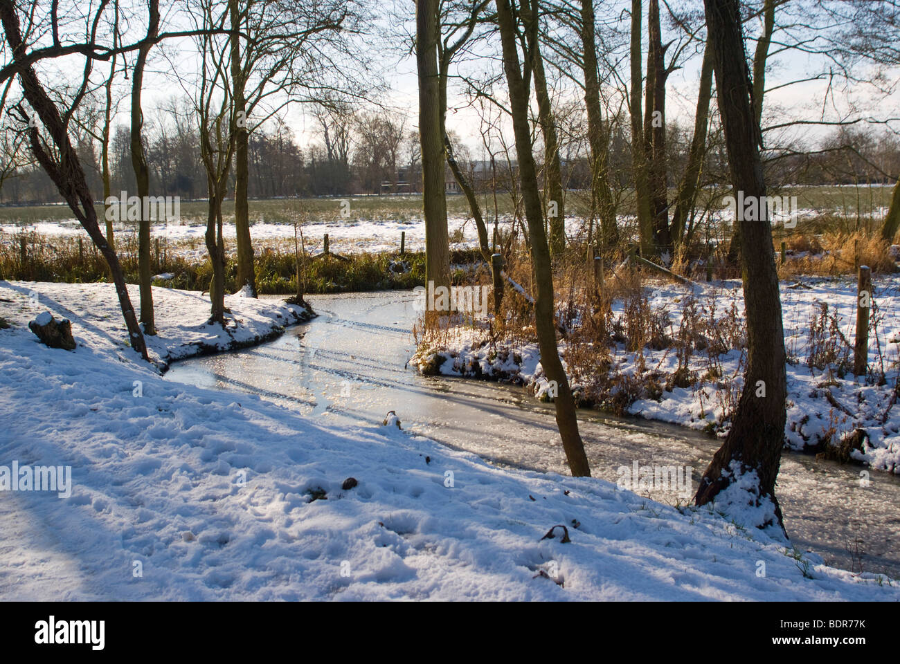 River running through Christ Church Meadow in winter, Oxford Stock Photo