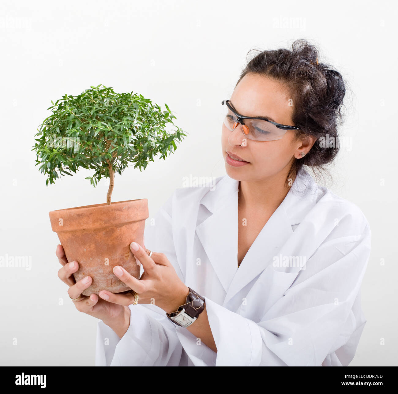 hispanic woman scientist in lab with plant Stock Photo