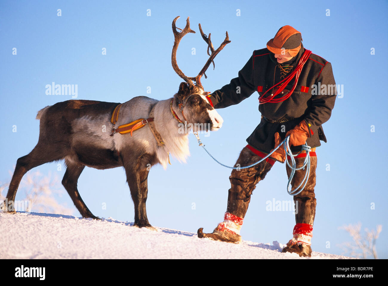 Laplander hi-res stock photography and images - Alamy