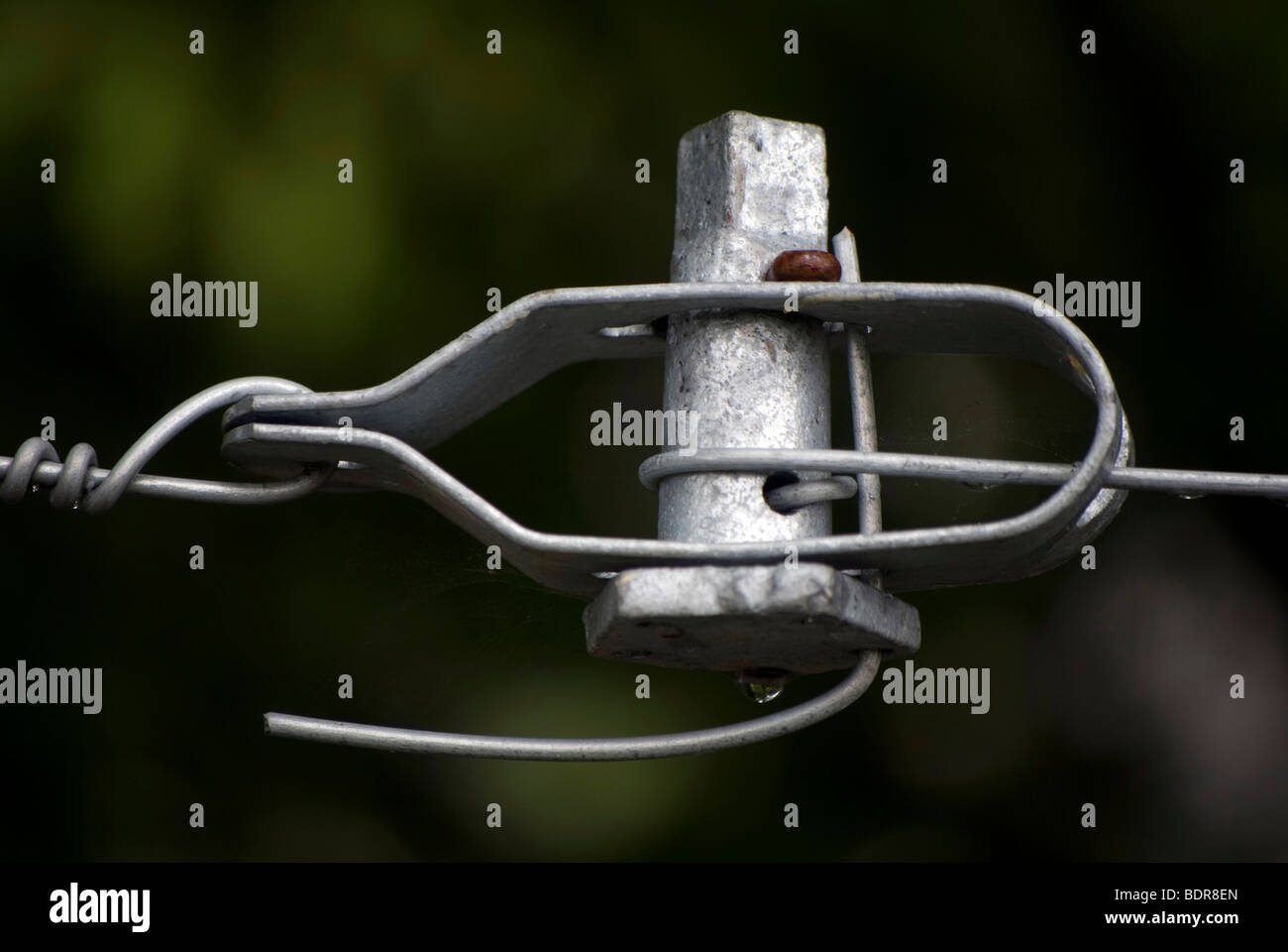 Wife fence tensioner with drops of rain on it. Stock Photo