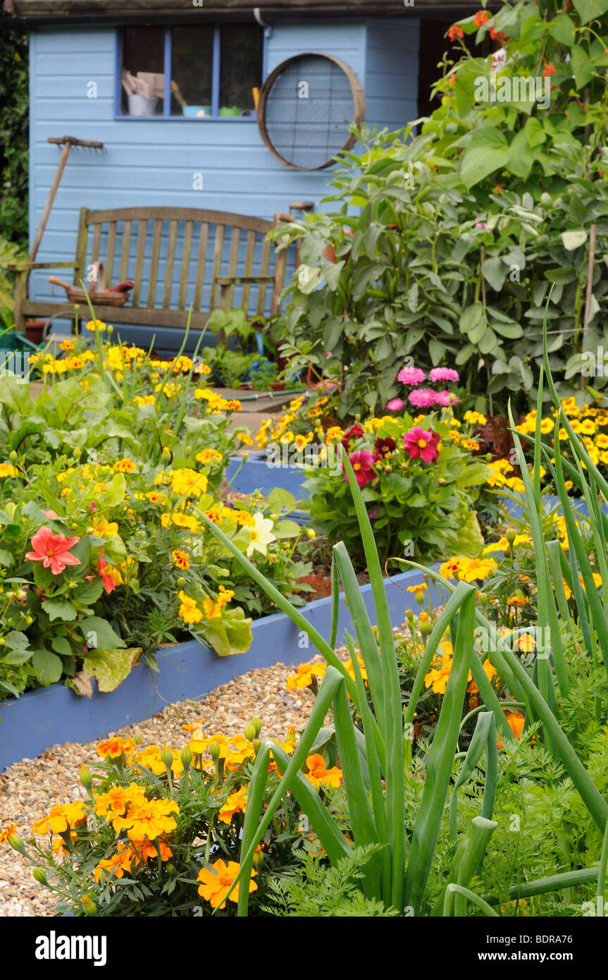 Small potager garden in mid summer showing mixed flower and vegetable