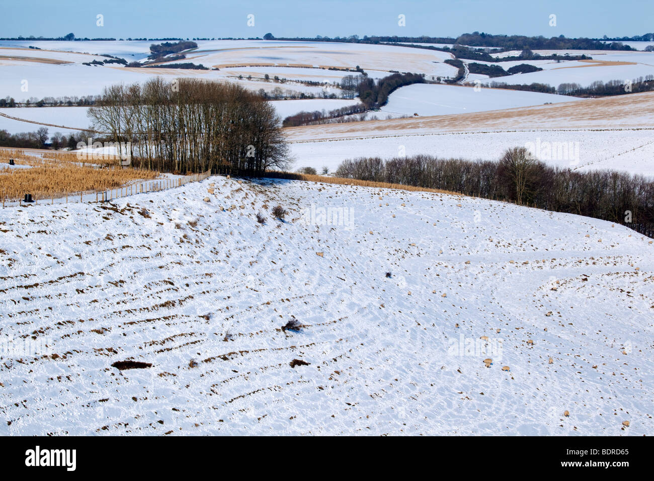 A winter landscape of downland in Wiltshire with snow Stock Photo