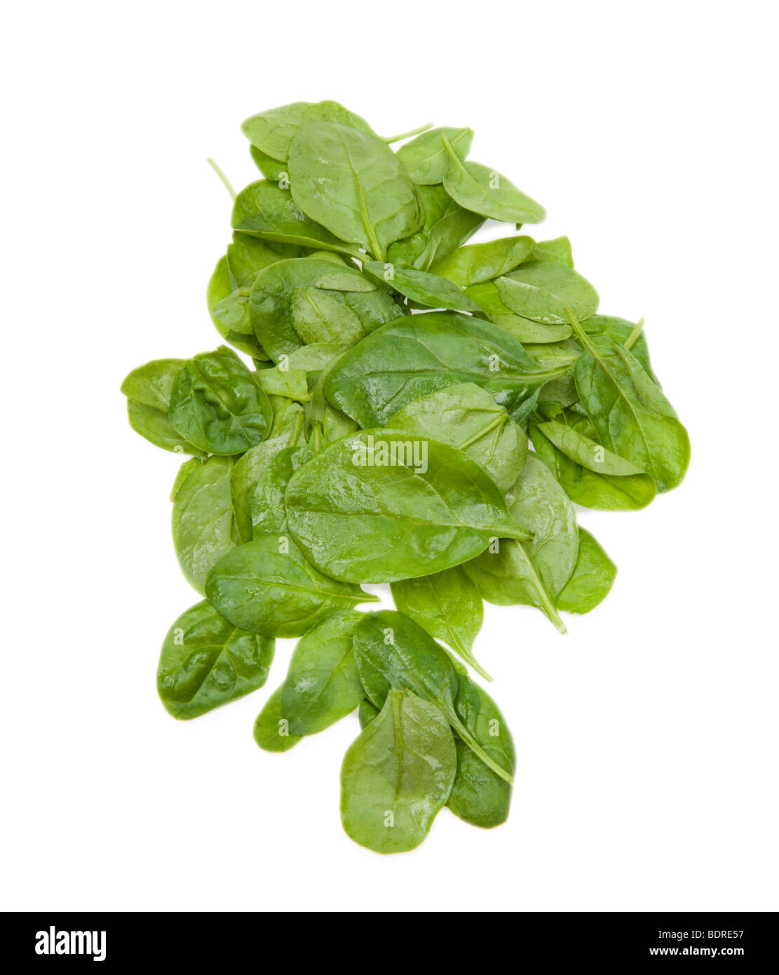 baby SPINACH single leaves salad cook cooking green greenfood food pack packed plastic folie film spinat vegetables veggi fresh Stock Photo