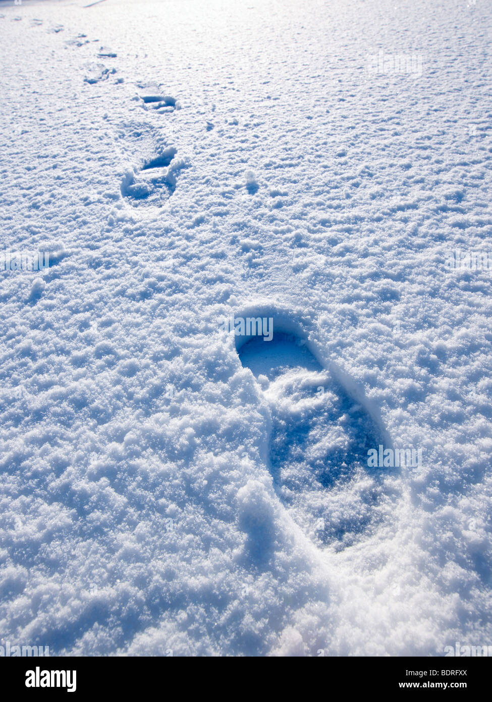 footprints in snow Stock Photo - Alamy