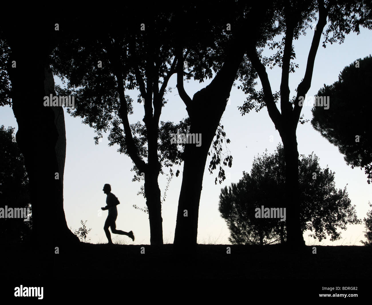 silhouette lonely runner in woods at dusk Stock Photo - Alamy
