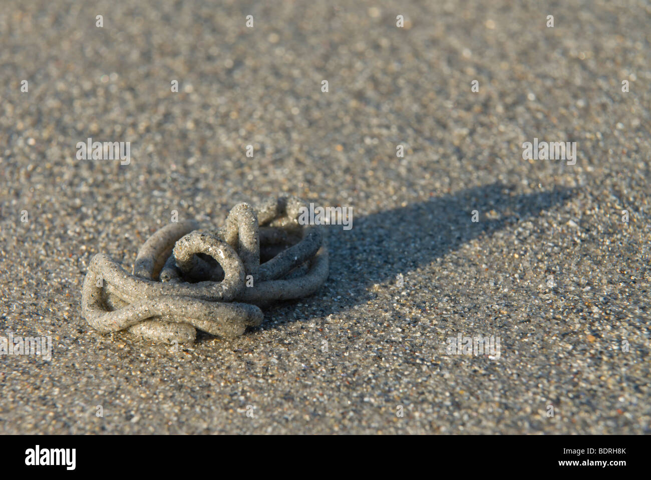 Wattwurmhaufen mit langem Schattenwurf, lugworm [Arenicola marina] Stock Photo