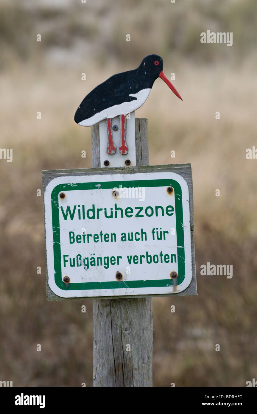 Austernfischerattape mit Hinweisschild auf ein Schutzgebiet auf der D ne von Helgoland Stock Photo