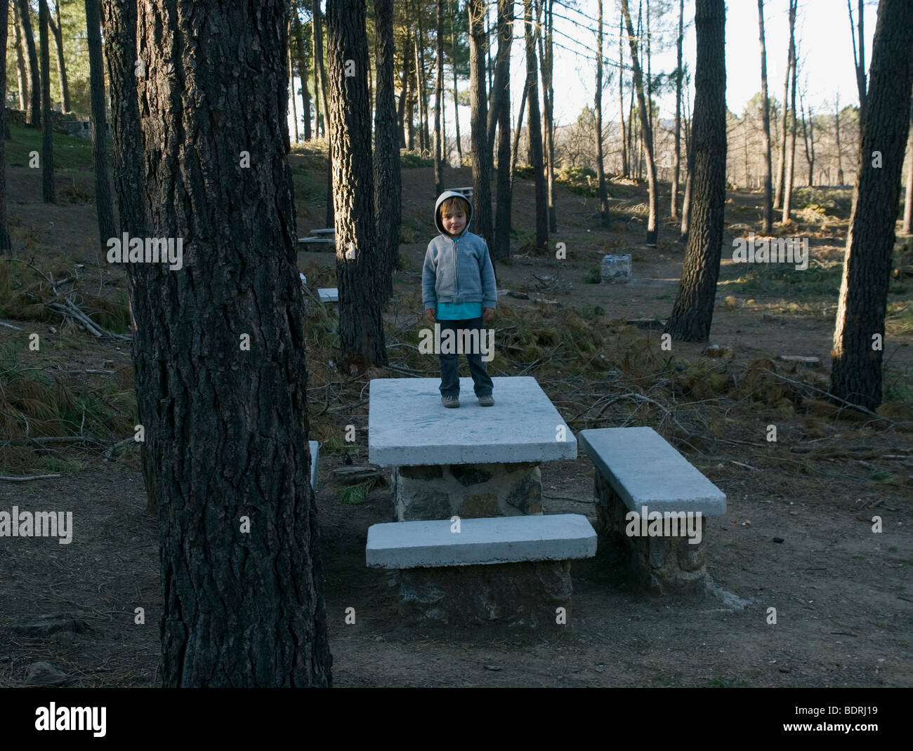 young boy stands on picnic bench in a Spanish forest Stock Photo Alamy