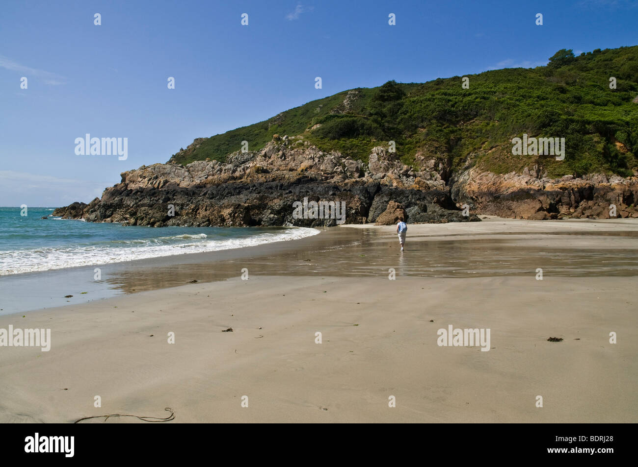 dh Petit Bot Bay FOREST GUERNSEY Woman tourist walking along shore sandy beach channel islands one alone walker person Stock Photo