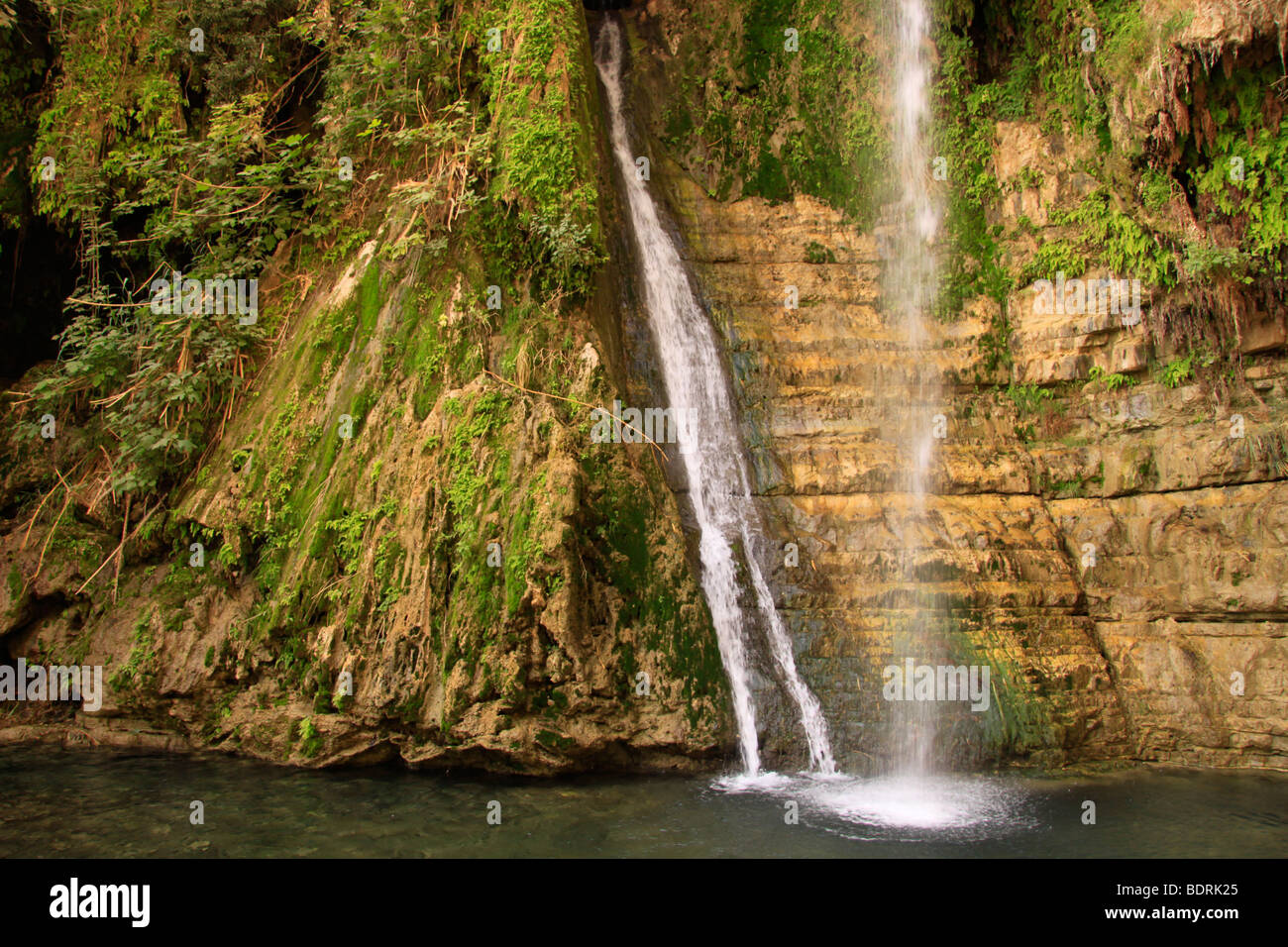 Israel, Judean Desert, David waterfall in Ein Gedi Stock Photo