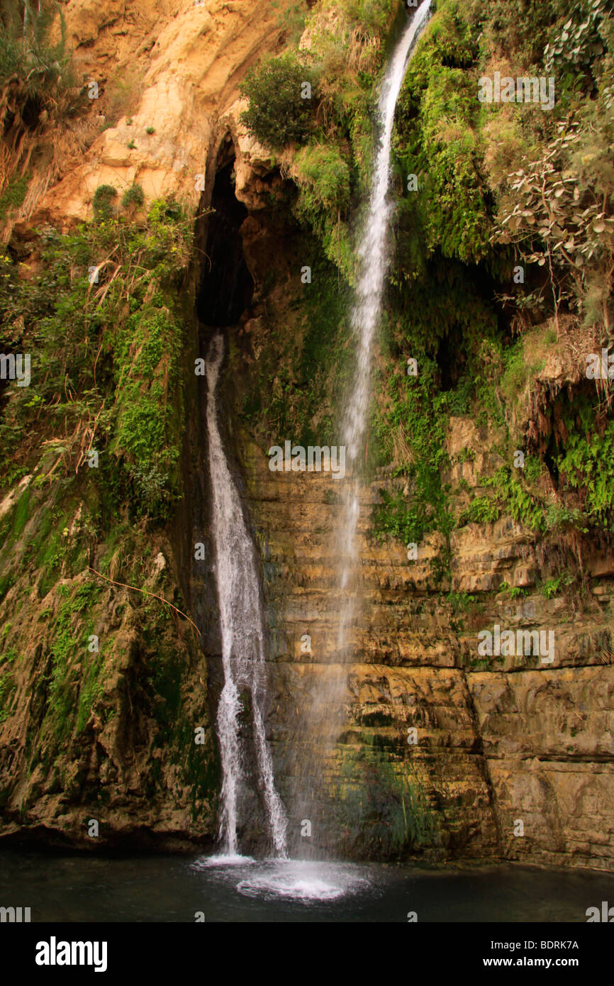 Israel, Judean Desert, David waterfall in Ein Gedi Stock Photo