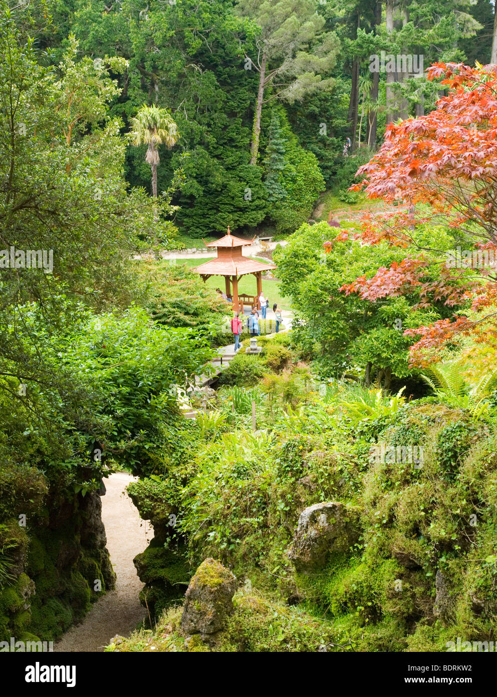 Looking down into the Japanese Garden at the Powerscourt Estate House