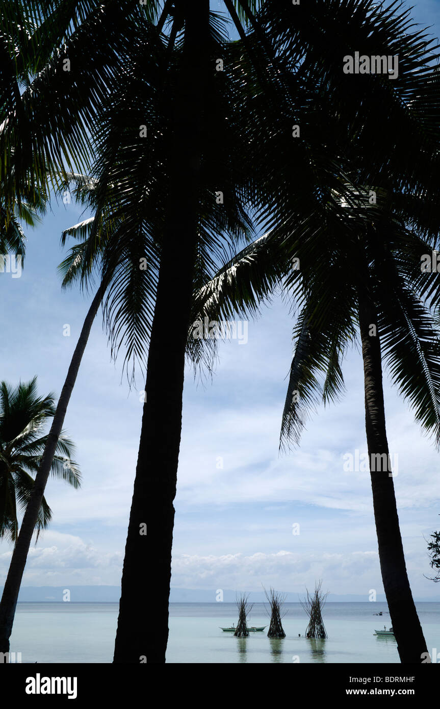 Duljo Beach bay, Panglao Island, Bohol, The Visayas, Philippines Stock ...