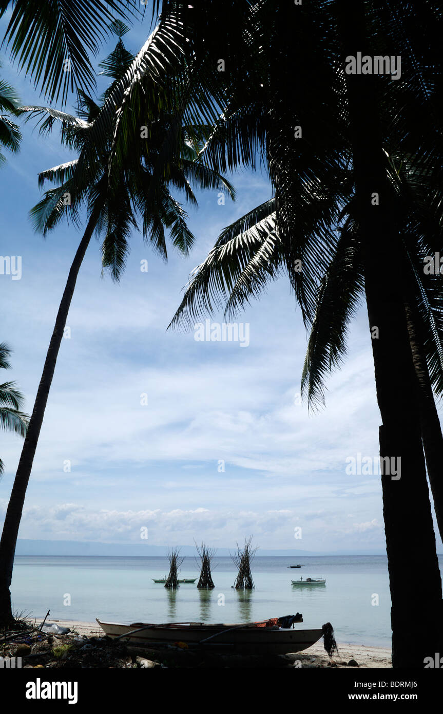 Duljo Beach, Panglao Island, Bohol, The Visayas, Philippines Stock ...