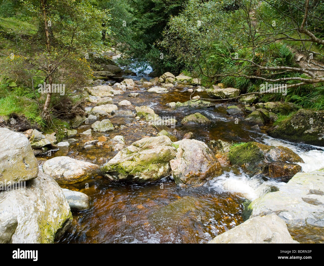 The flow of water from the Powerscourt Waterfall, near Enniskerry in County Wicklow Irleand Stock Photo
