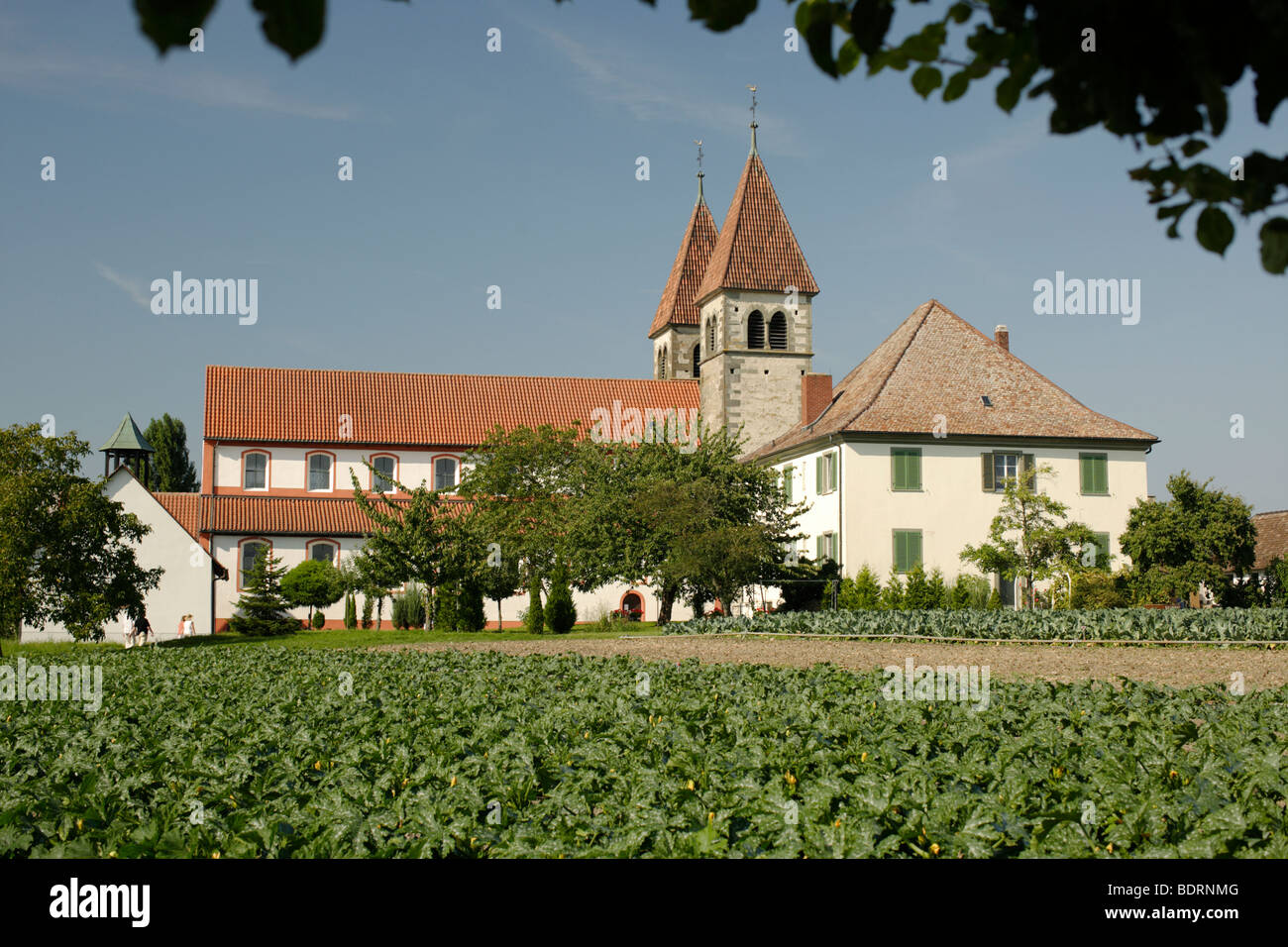 Monastery of St. Peter and Paul in Niederzell, Reichenau Island, Lake Constance, Konstanz district, Baden-Württemberg, Germany, Stock Photo