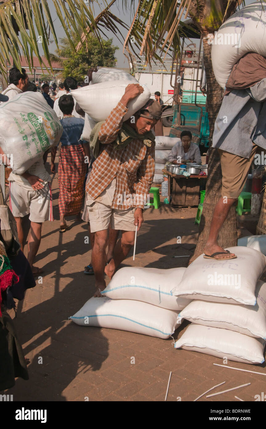 Men unloading Rice Sacks by hand from a freighter in Yangon Loading Docks, and dropping a stick to hel pthe count. Longshoreman Stock Photo