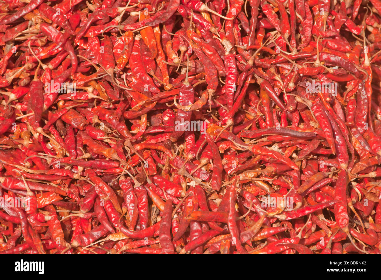 Red Chili Peppers on display at the local farmers produce market in Twante Village hard hit by Cyclone Nargis near Yangon and Ra Stock Photo