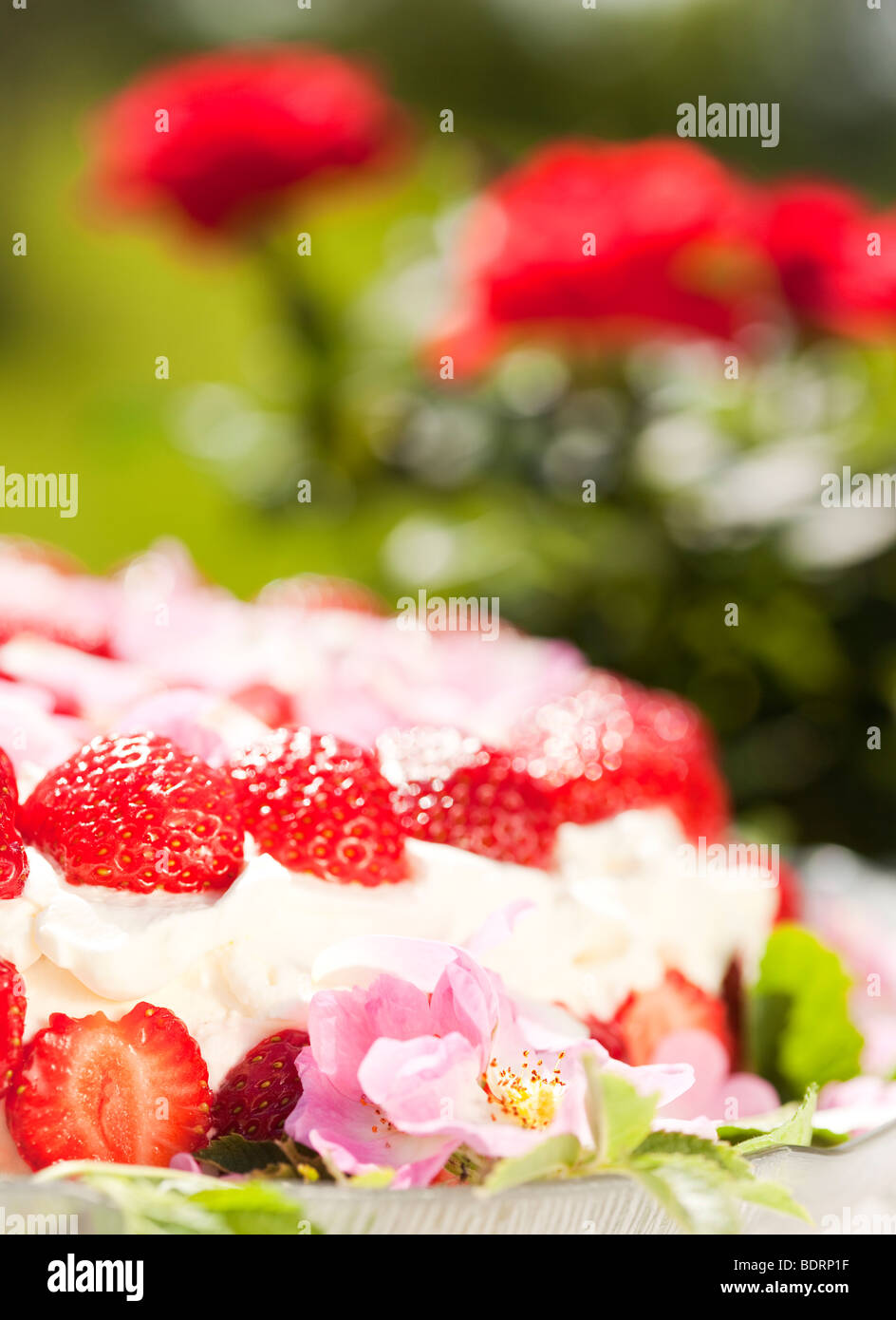 Strawberrycake. Stock Photo