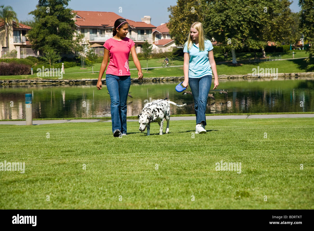 Front view two girls hang hanging out together Hispanic Caucasian teenage middle girls walk dalmatian talk child playing play plays dog owner MR  © Myrleen Pearson Stock Photo