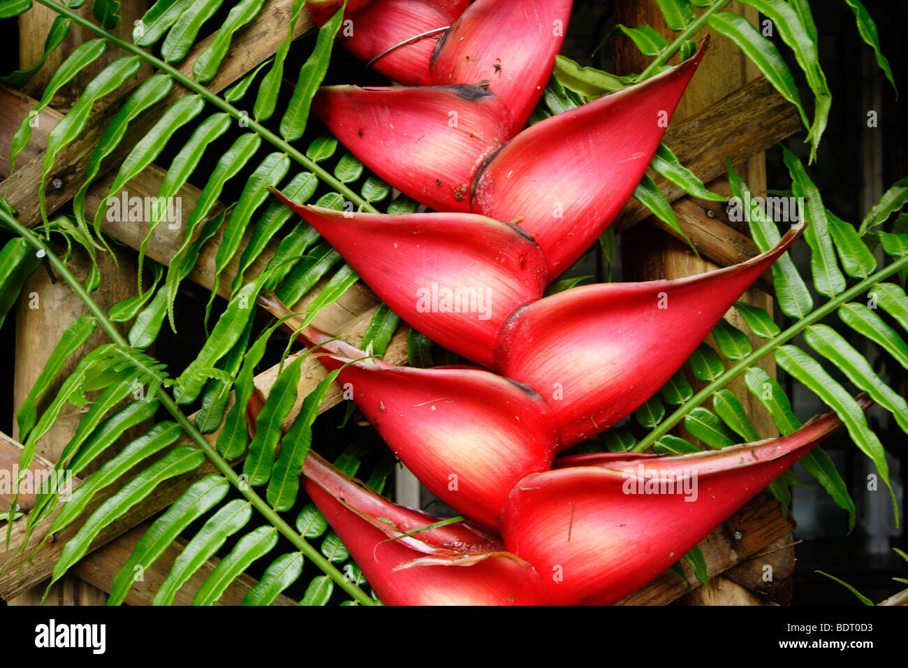 Pahiyas Festival decorations consisting of fruits, flowers and