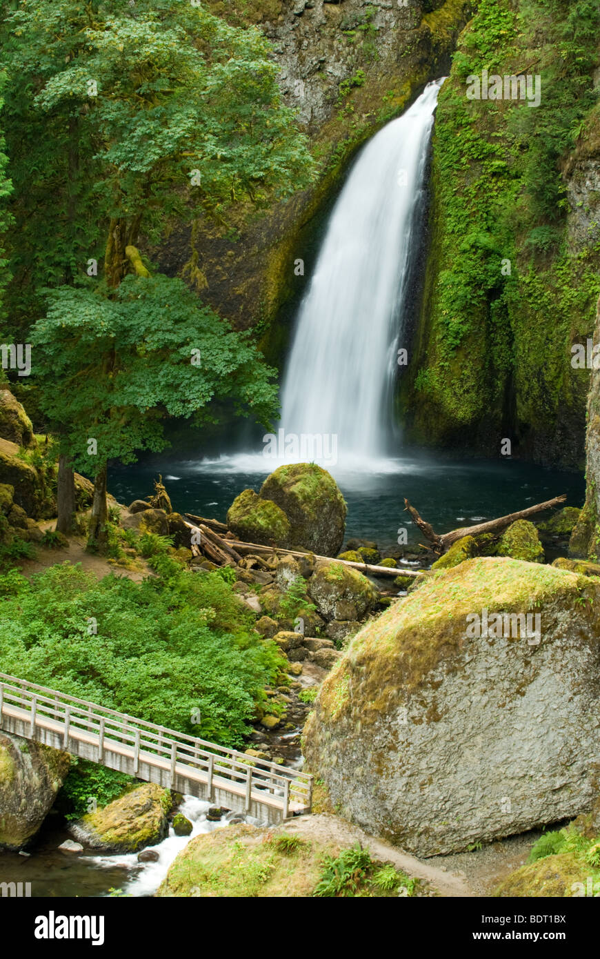 Wahclella Falls On The Oregon Side Of The Columbia River Gorge National Wahclella Falls On The Oregon Side Of The Columbia River Gorge National