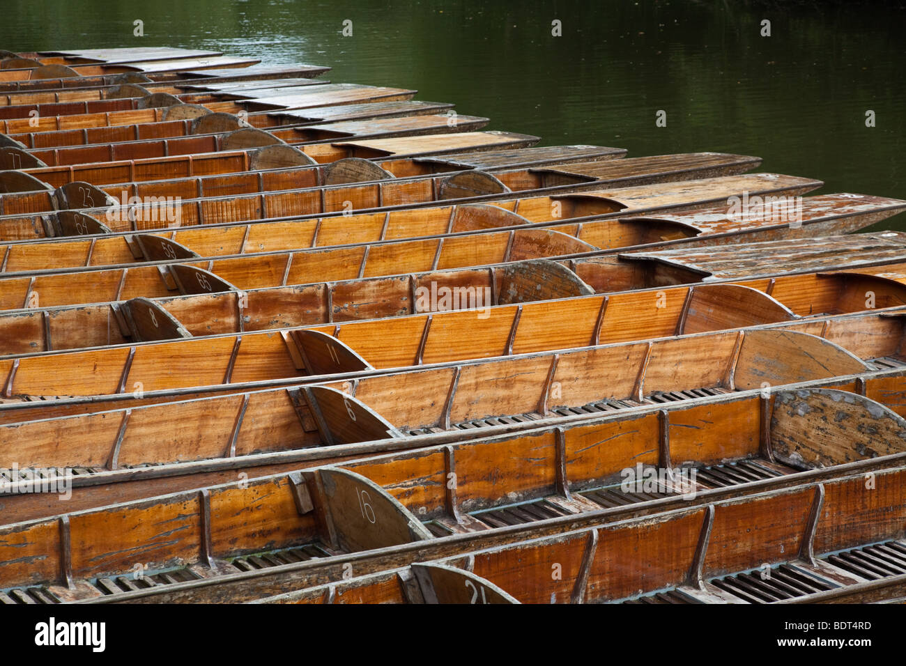 Several punts interlocked on the River Cherwell near Magdalen Bridge in Oxford, England Stock Photo