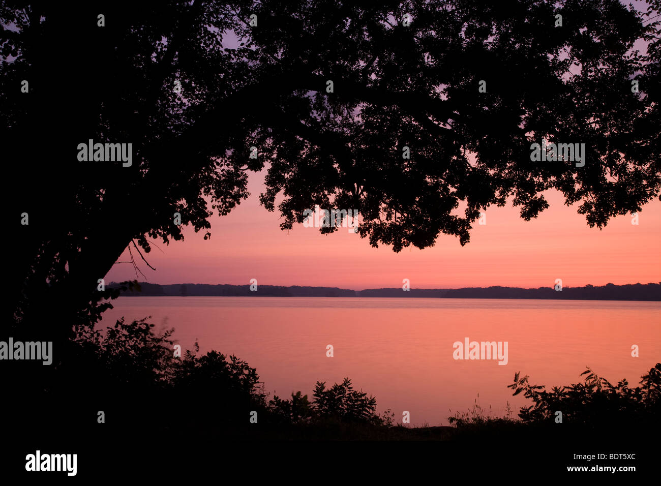 Ingham Lake at daybreak, InghamHigh Wetland Complex, Emmet County