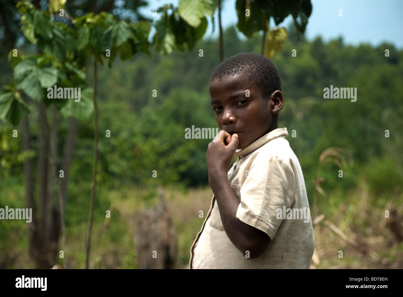 A young boy in western Uganda surveys the crops in his fathers field Stock Photo