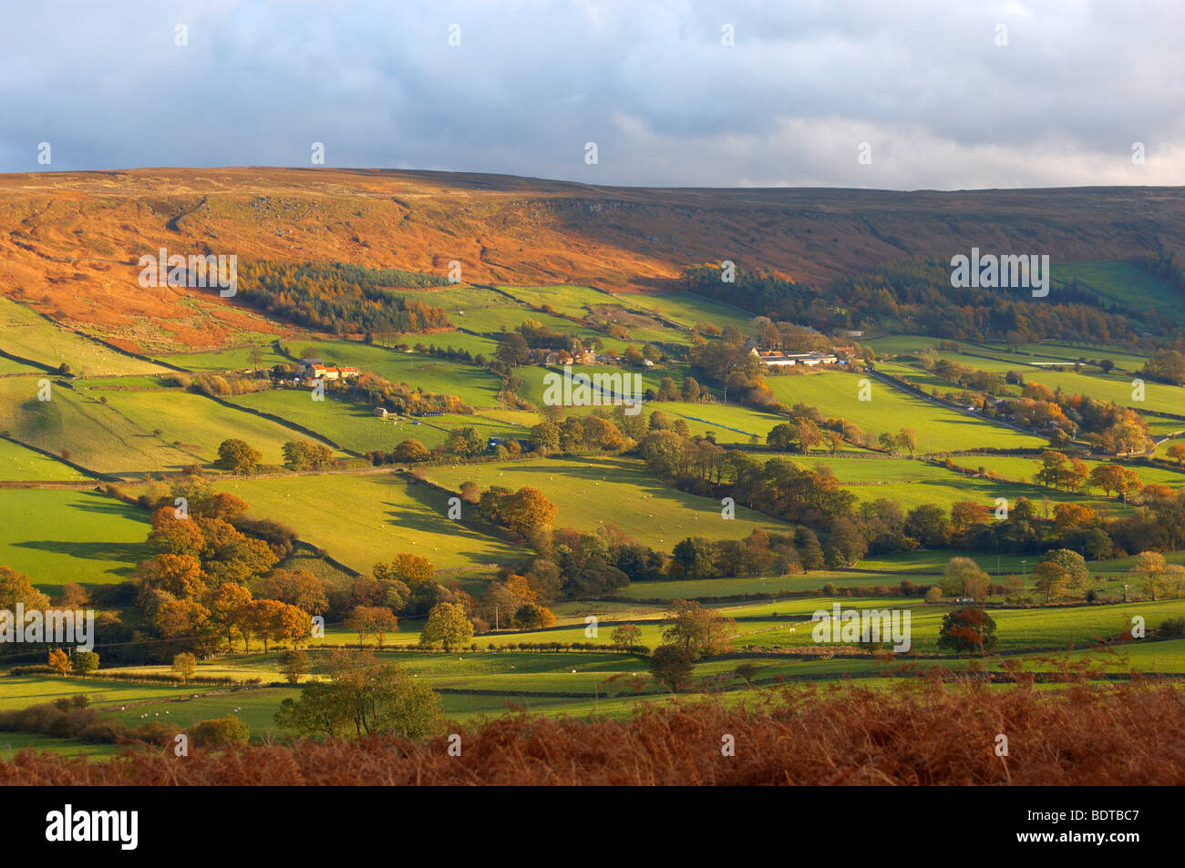 Danby Dale looking towards Botton village, North Yorkshire Moors National Park, England. Stock Photo