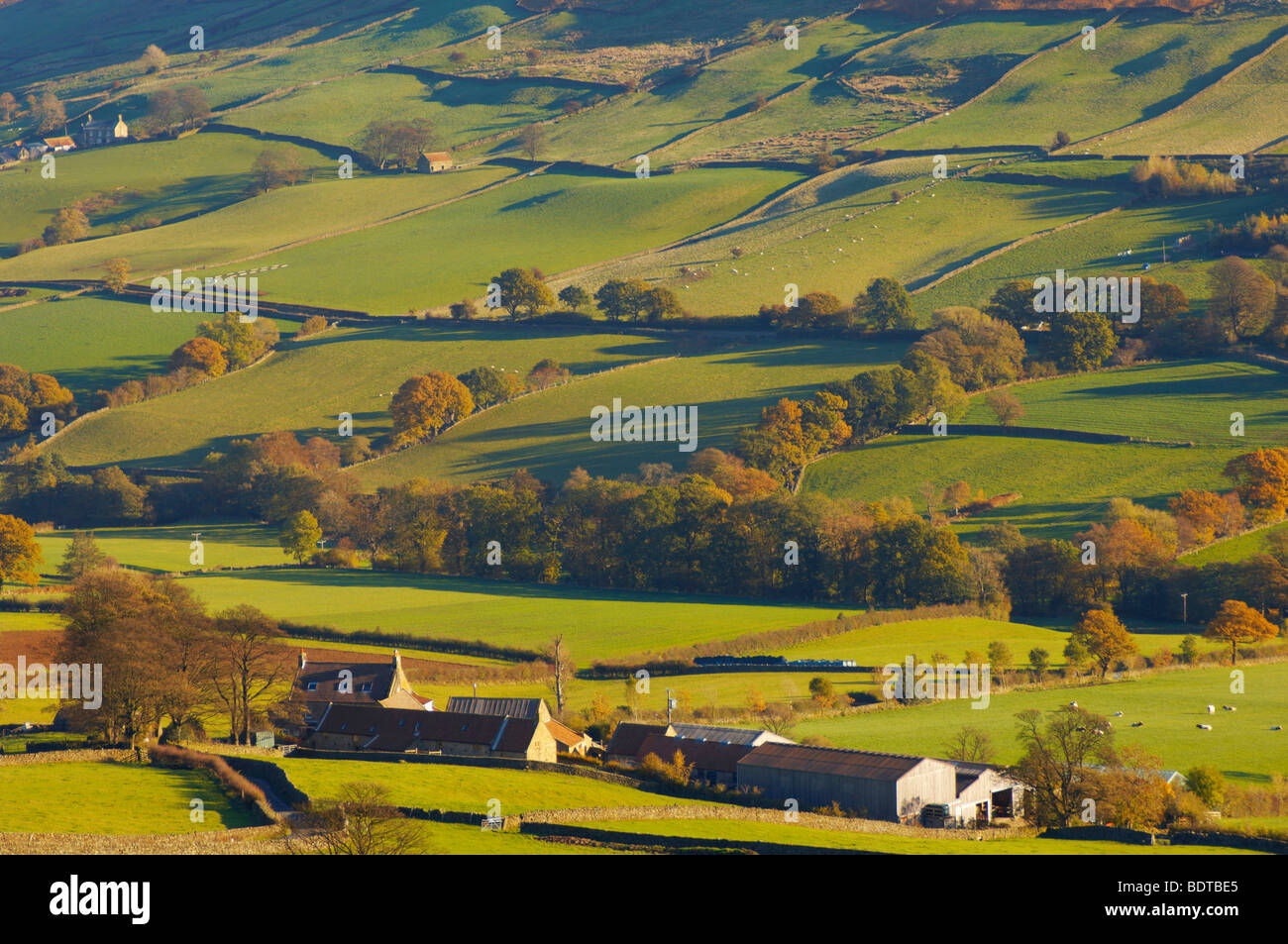 Danby Dale farm, North Yorkshire Moors National Park, England. Stock Photo