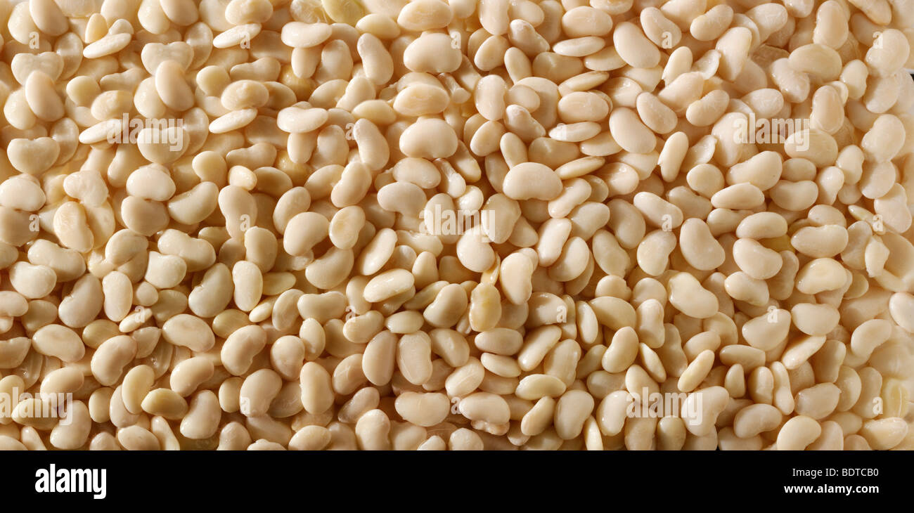 Whole lima bean , butter beans, sieva beans, double beans, or
