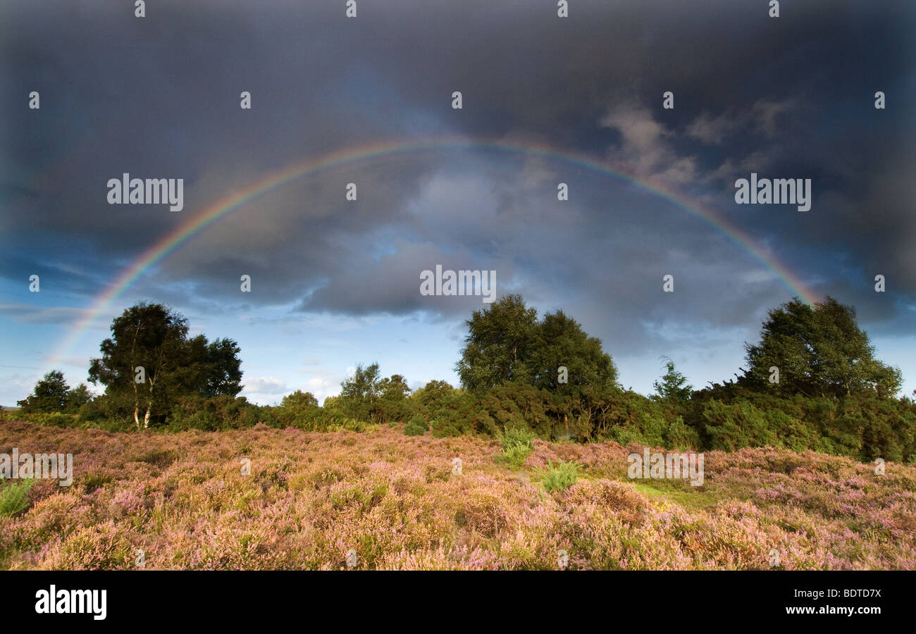 Rainbow at Rockford Common in the New Forest National Park Stock Photo