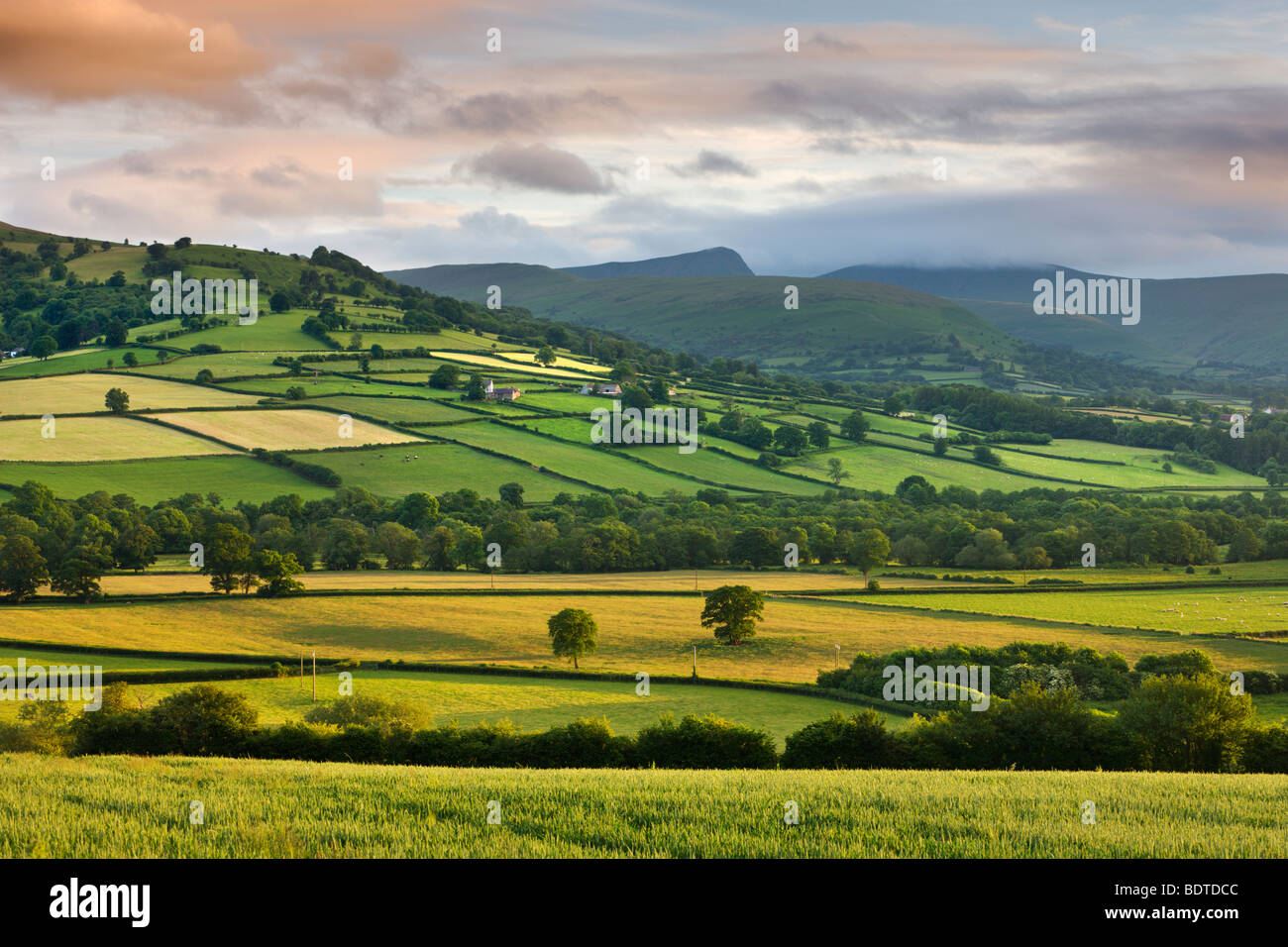 Rolling summer farmland in the Usk Valley backed by Pen y Fan and Cribyn mountains, Brecon Beacons National Park, Powys, Wales Stock Photo
