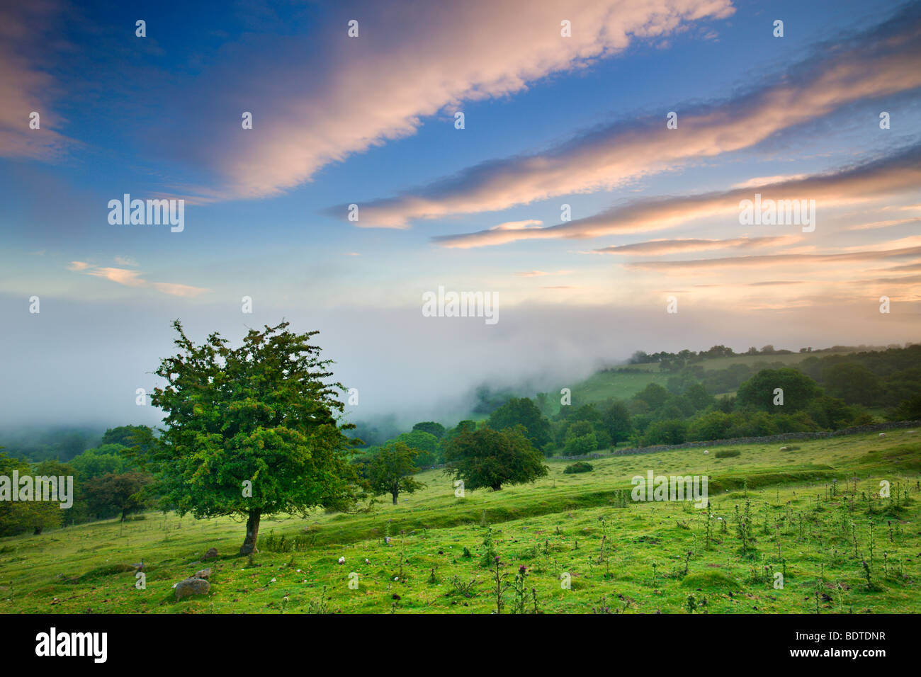 Mist approaches the sloped fields and woodland above the Usk Valley near Llangynidr, Brecon Beacons, Powys, Wales, UK Stock Photo