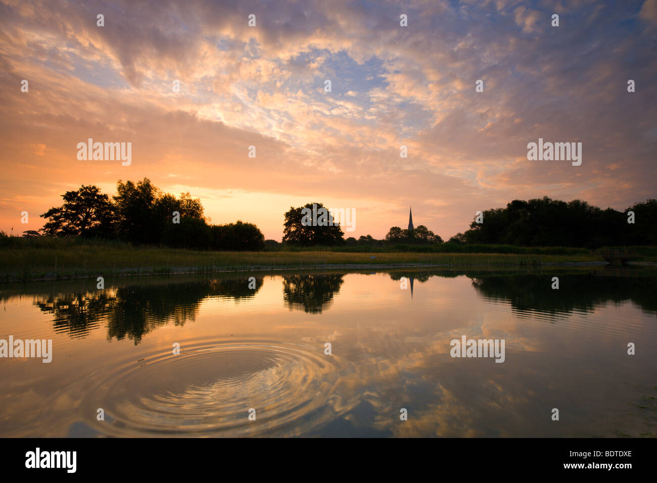Salisbury Cathedral reflected in a pond at dawn, Salisbury, Wiltshire, England. Summer (June) 2009 Stock Photo