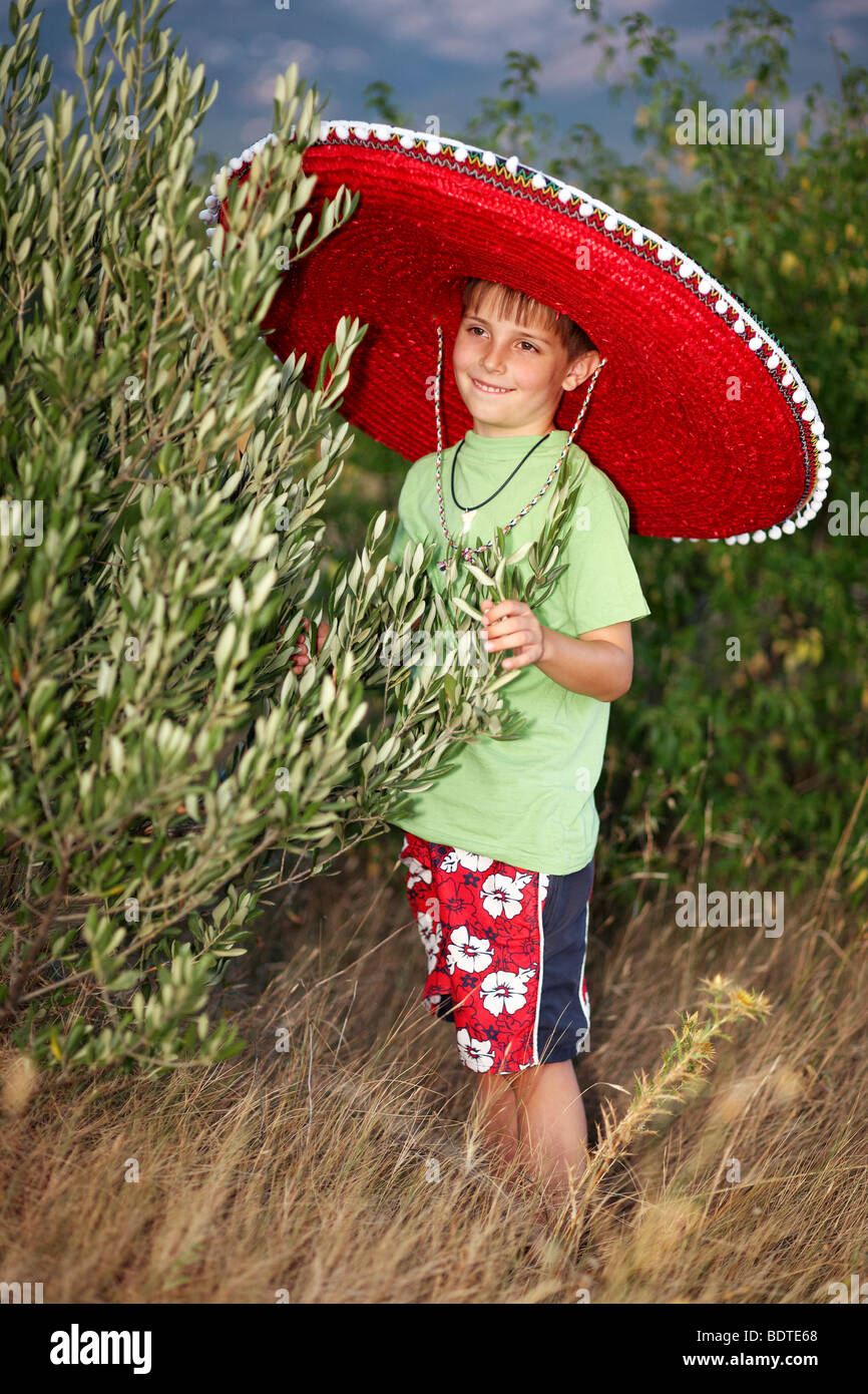 Young boy with olive tree Stock Photo - Alamy