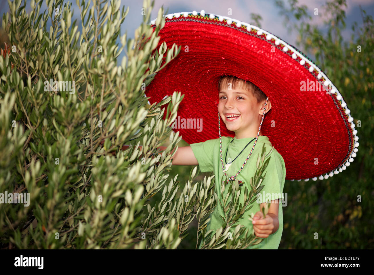 Young boy with olive tree Stock Photo - Alamy