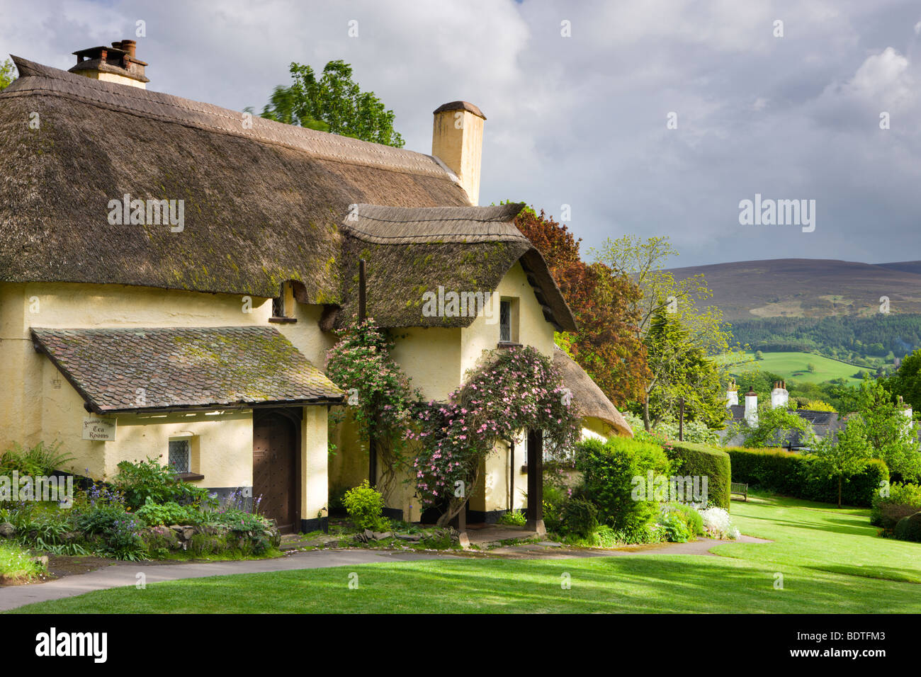 Pretty thatched cottage in the picturesque village of Selworthy, Exmoor National Park, Somerset, England. Spring (May) 2009 Stock Photo
