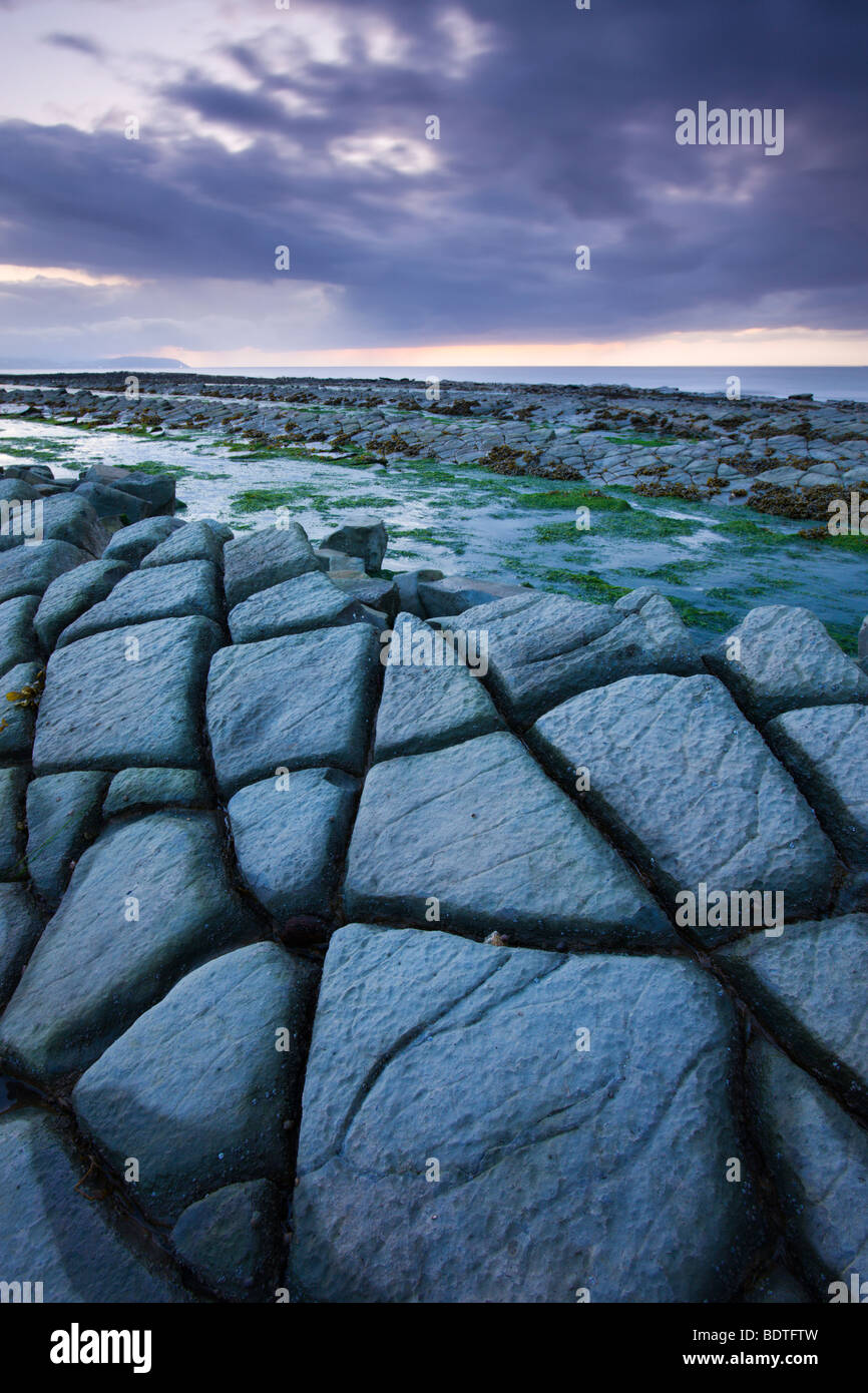 Cracked limestone ledges at Kilve in Somerset, England. Spring (May) 2009. Stock Photo
