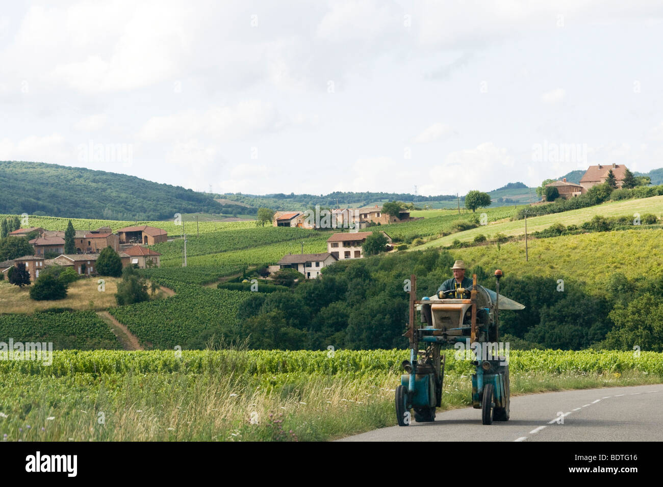 Wine farmer on grape picking machine in Burgundy region Stock Photo